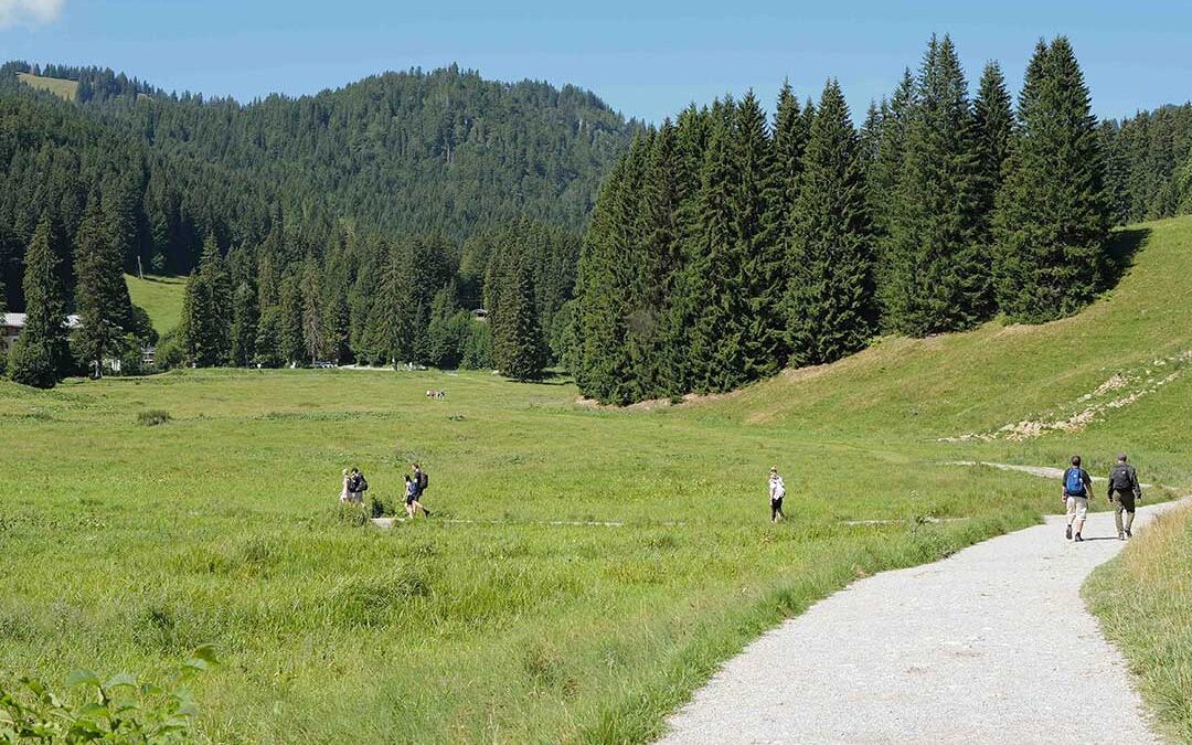 Sommer, See und eine kleine Auszeit vom Büroalltag